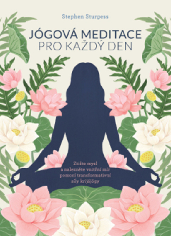 Jógová meditace pro každý den - Stephen Sturgess