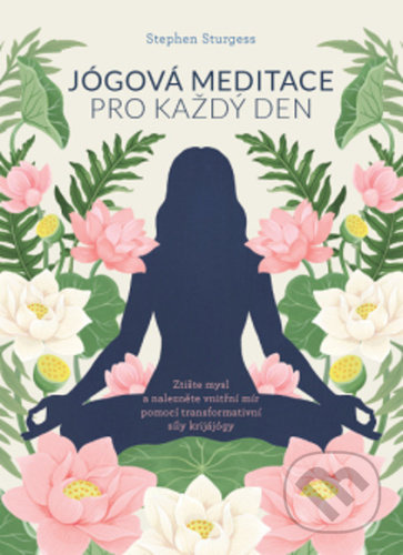 Jógová meditace pro každý den - Stephen Sturgess