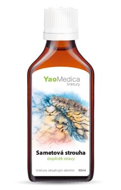Léčivé houby – Praktický průvodce - Christopher Hobbs