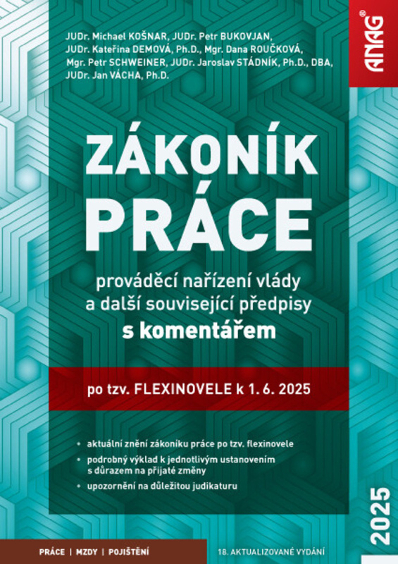 Zákoník práce, prováděcí nařízení vlády a další související předpisy s komentářem po tzv. flexinovel