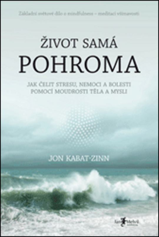 Život samá pohroma - Jon Kabat-Zinn