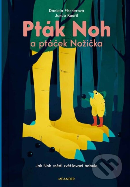 Pták Noh a ptáček Nožička - Daniela Fischerová