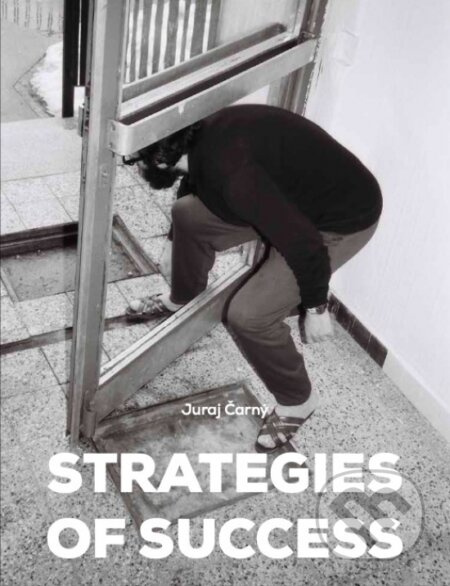 Strategies of Success/Stratégie úspechu (Slovenské umenie v zbierkach zahraničných múzeí) - kniha z kategorie Malířství
