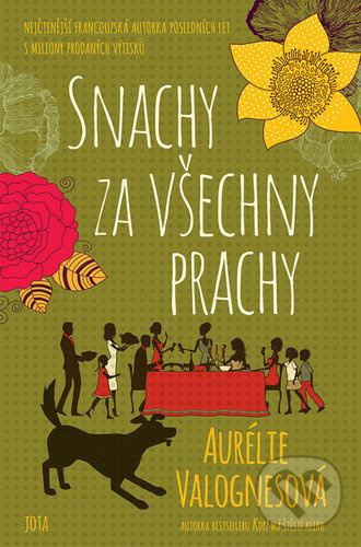 Snachy za všechny prachy - Aurélie Valognes - kniha z kategorie Romantika