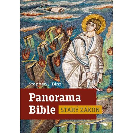 Panorama Bible - Starý zákon - Stephen J. Binz