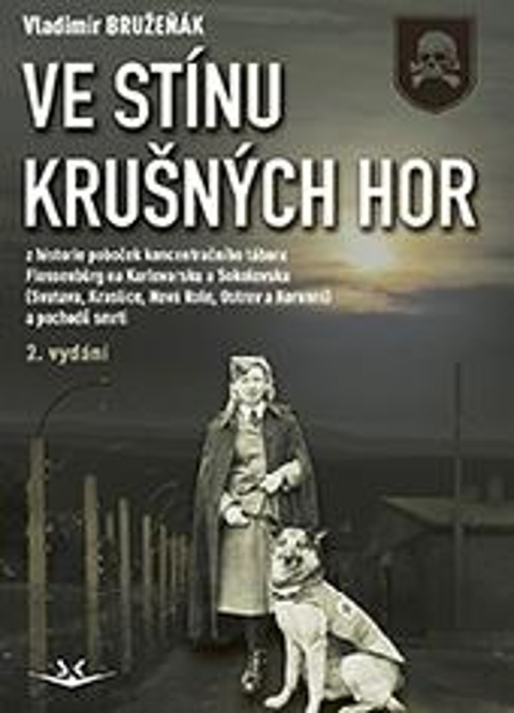 Ve stínu Krušných hor - Vladimír Bružeňák