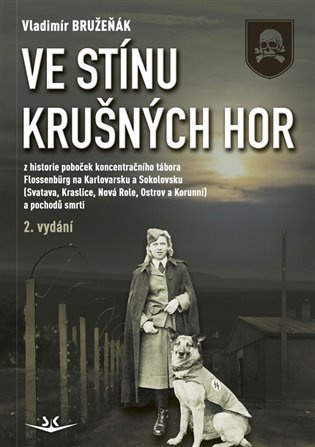 Ve stínu Krušných hor - Vladimír Bružeňák