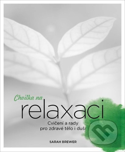 Chvilka na relaxaci - Sarah Brewerová