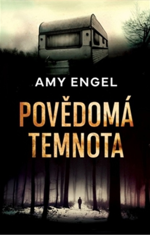 Povědomá temnota - Amy Engel - kniha z kategorie Detektivky, thrillery a horory