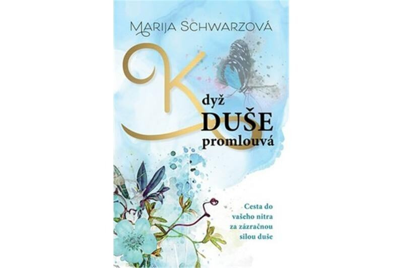 Když duše promlouvá (Cesta do vašeho nitra za zázračnou silou duše) - kniha z kategorie Spiritualita