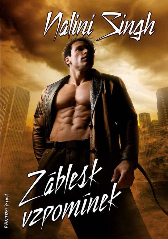 Záblesk vzpomínek -  Nalini Singh
