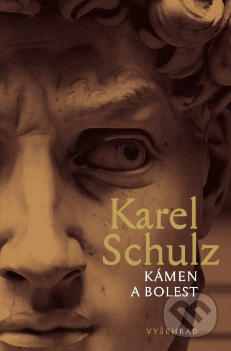 Kámen a bolest - Karel Schulz