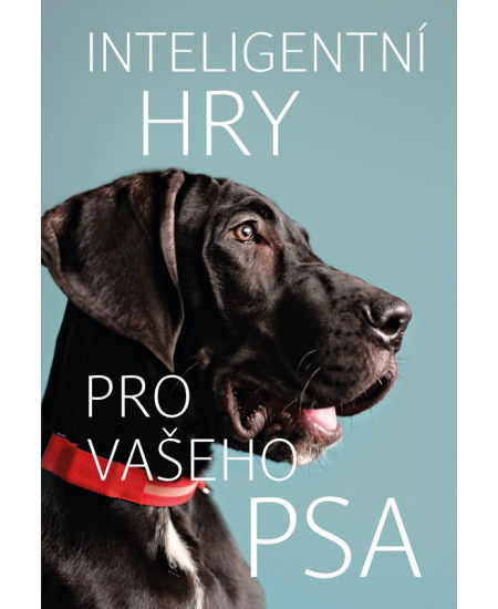 Inteligentní hry pro vašeho psa Vyšehrad