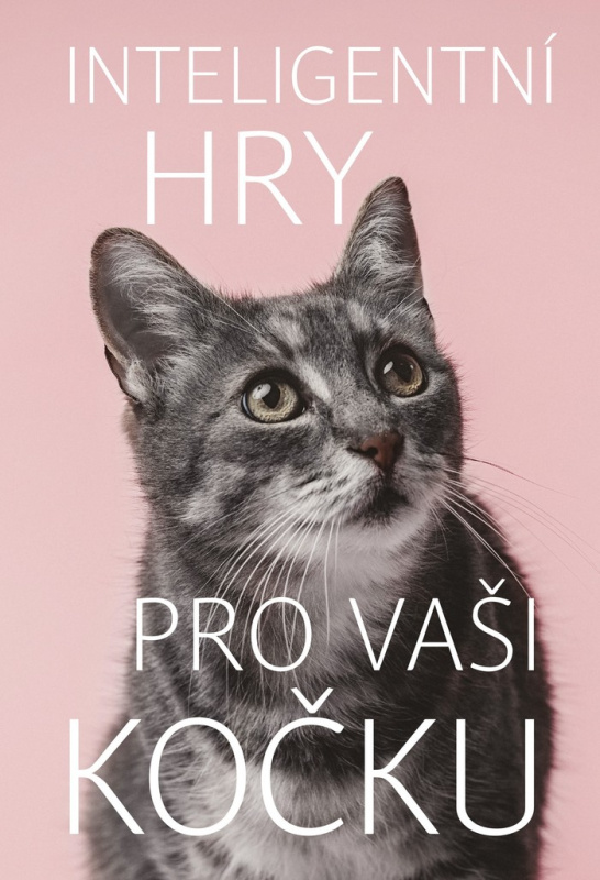 Inteligentní hry pro vaši kočku Vyšehrad