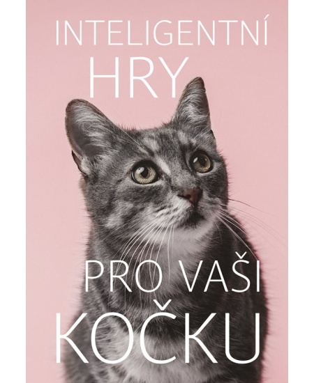 Inteligentní hry pro vaši kočku Vyšehrad