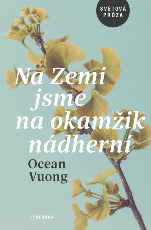 Na Zemi jsme na okamžik nádherní Vyšehrad