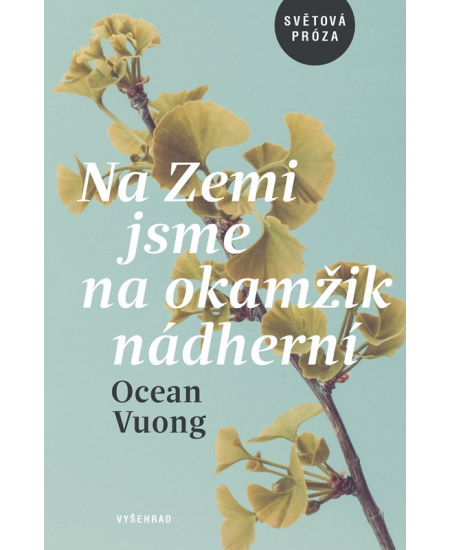 Na Zemi jsme na okamžik nádherní Vyšehrad