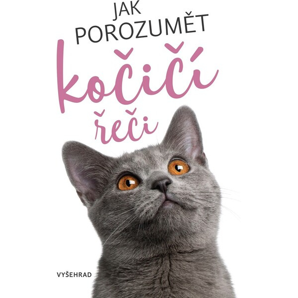 Jak porozumět kočičí řeči