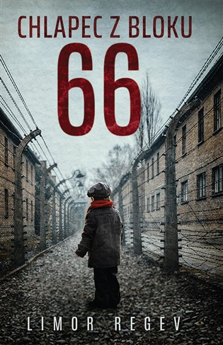 Chlapec z bloku 66 - Limor Regev