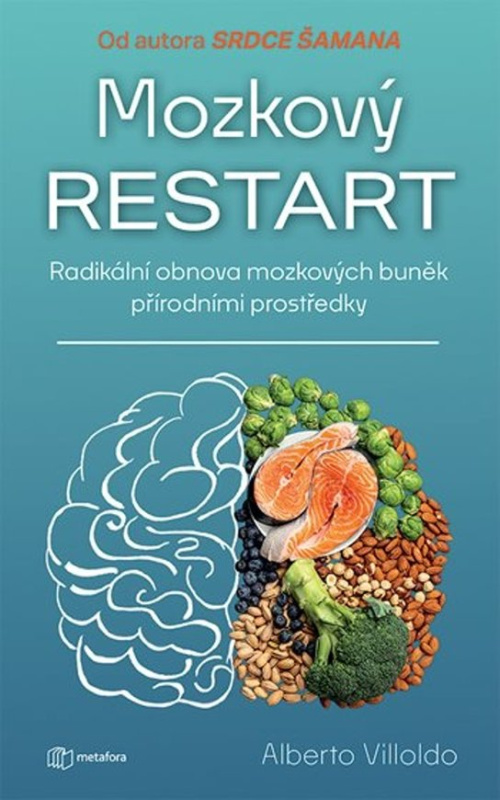 Kniha: Mozkový restart od Villoldo Albert