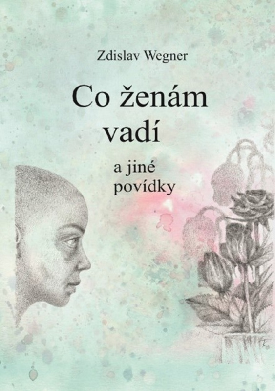 Co ženám vadí - Zdislav Wegner