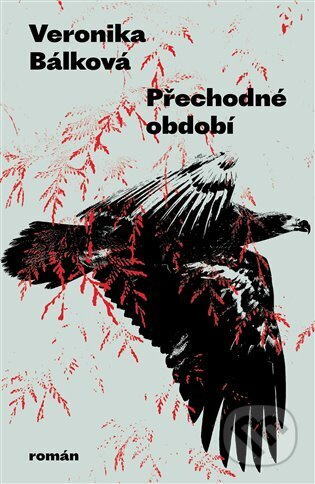 Přechodné období - Veronika Bálková