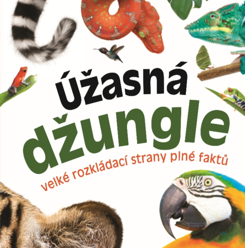 Úžasná džungle (Velké rozkládací strany plné faktů) - kniha z kategorie Naučné knihy