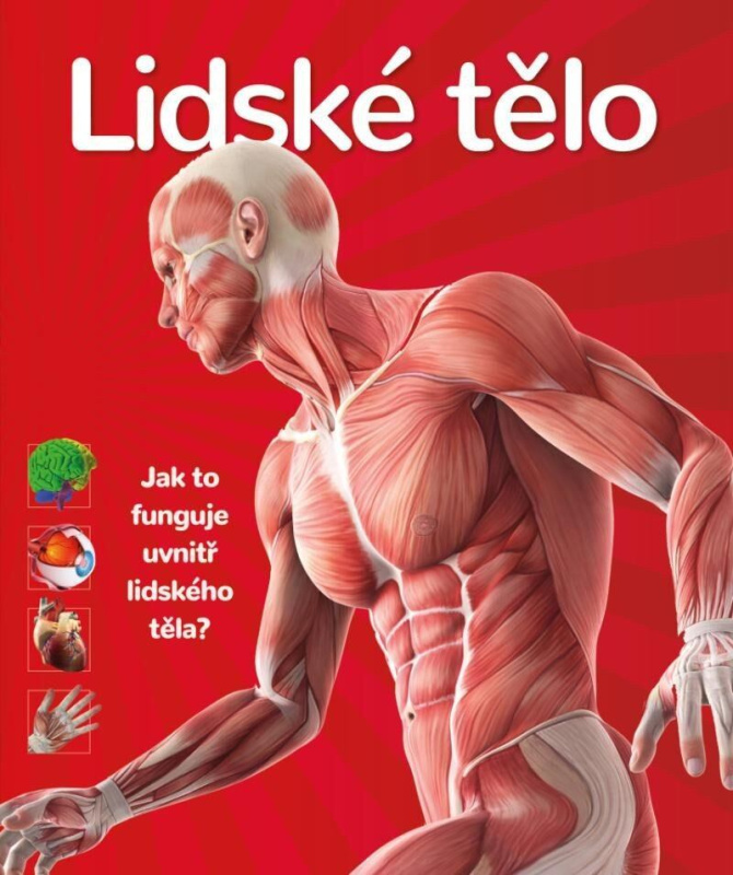 Lidské tělo - kol.