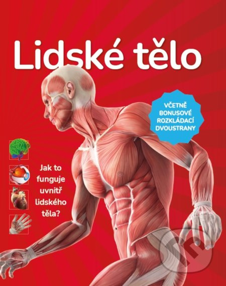 Lidské tělo - kol.