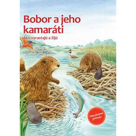 Bobor a jeho kamaráti
