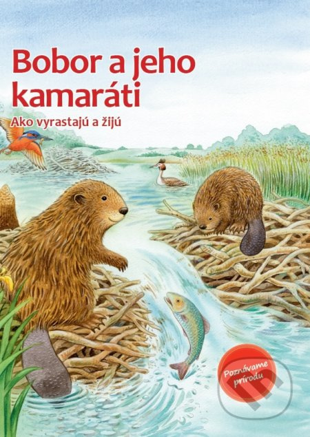 Bobor a jeho kamaráti
