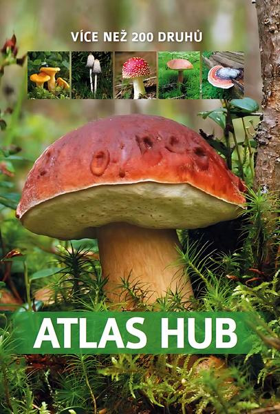 Atlas hub - Patrycja Zarawska