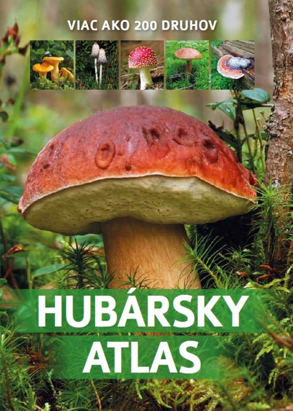 Hubársky atlas - Patrycja Zarawska - kniha z kategorie Biologie