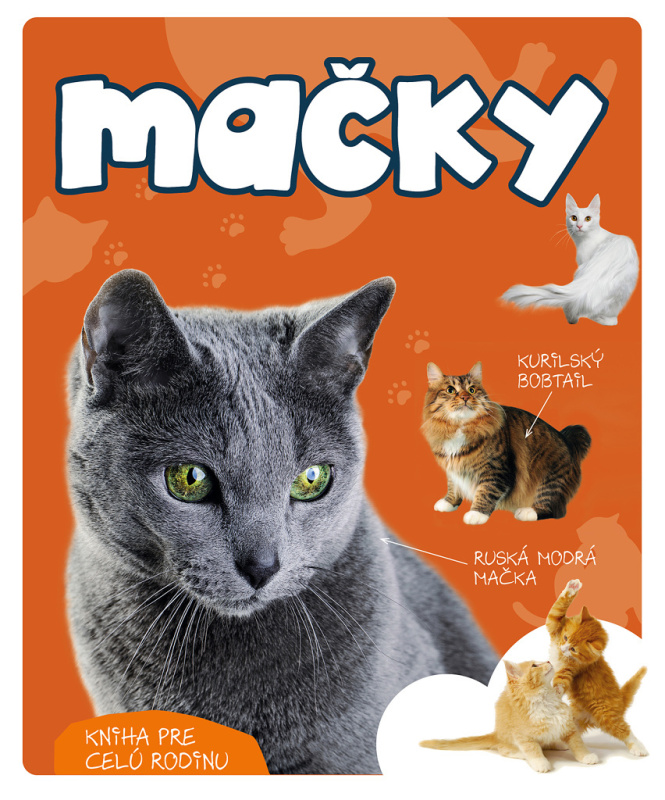 Mačky - Marcin Jan Gorazdowski - kniha z kategorie Naučné knihy
