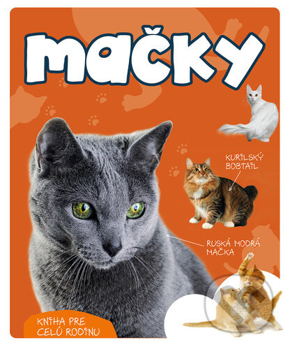 Mačky - Marcin Jan Gorazdowski - kniha z kategorie Naučné knihy