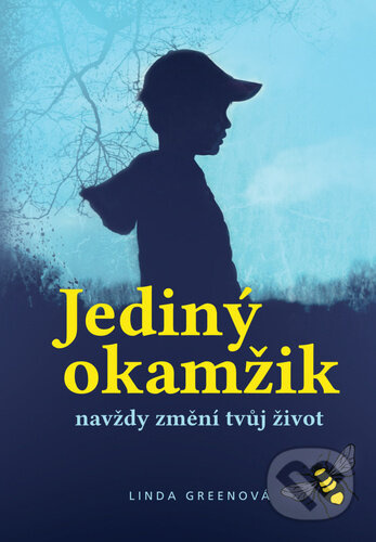 Jediný okamžik - Linda Greenová