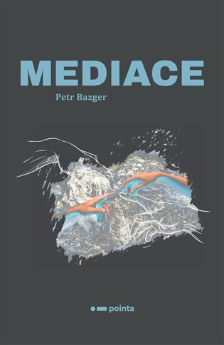 Mediace Pointa