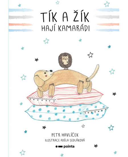 Tík a Žík, hají kamarádi Pointa