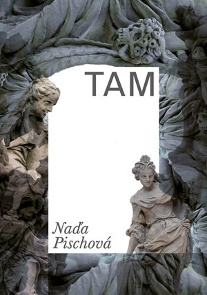 TAM Pointa