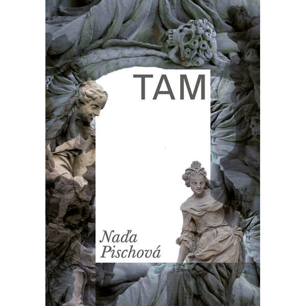 TAM Pointa