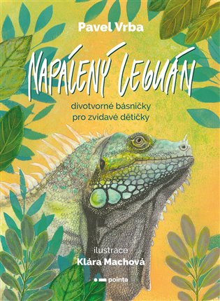 Napálený leguán  Pointa