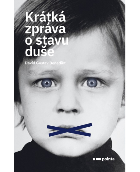 Krátká zpráva o stavu duše Pointa