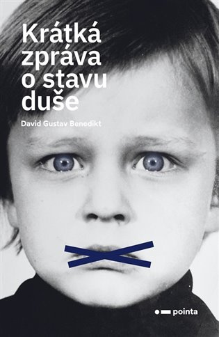 Krátká zpráva o stavu duše Pointa