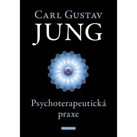 Psychoterapeutická praxe