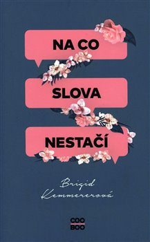 Na co slova nestačí - Brigid Kemmererová