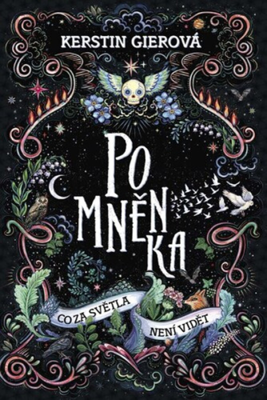 Pomněnka: Co za světla není vidět - Kerstin Gierová