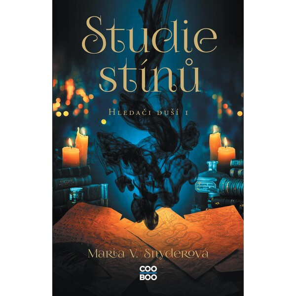 Studie stínů