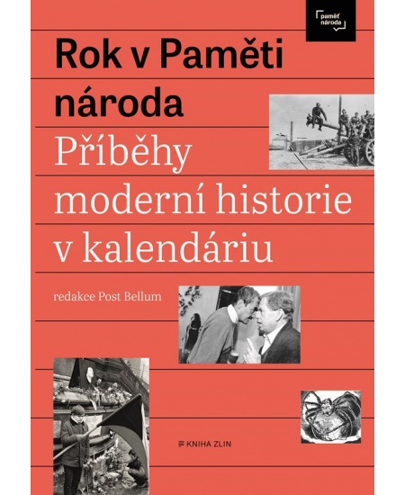 Rok v Paměti národa - kolektiv autorů