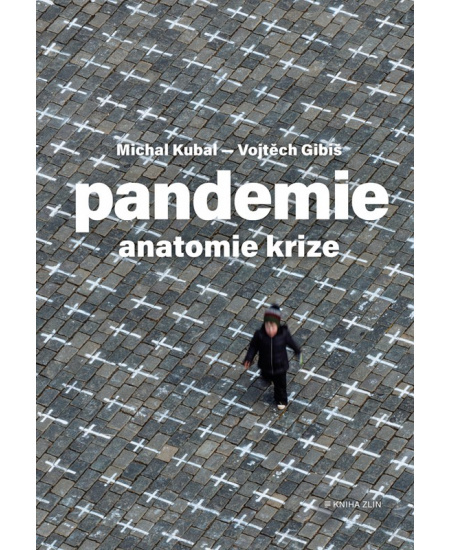 Pandemie: anatomie krize - Michal Kubal, Vojtěch Gibiš