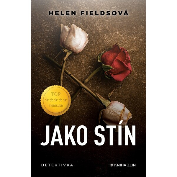 Jako stín - Helen Fieldsová